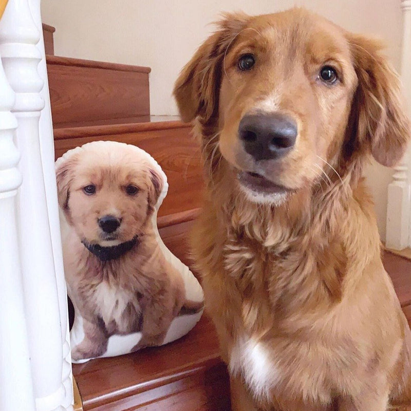 Custom Golden Retriever Shaped Dog Pillow
