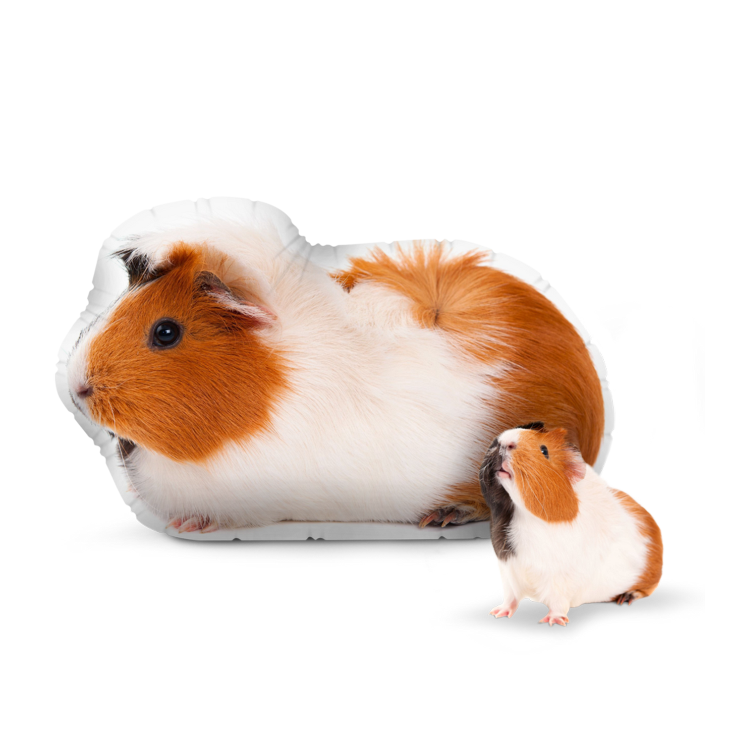 Custom Guinea Pig Pillow