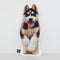 Custom Husky Shaped Dog Pillow