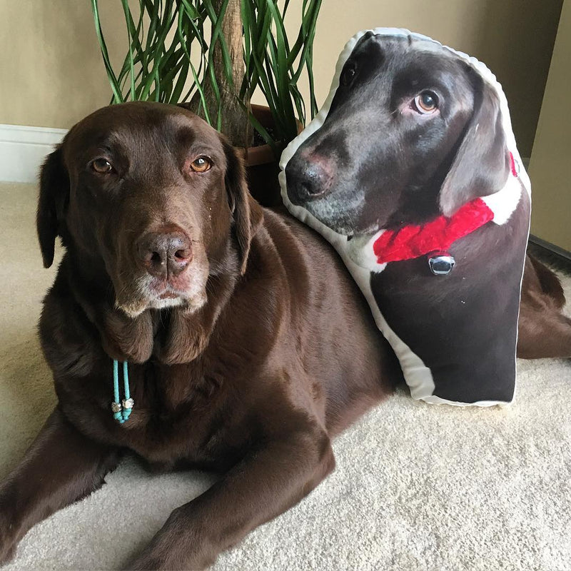Custom Labrador Retriever Shaped Dog Pillow