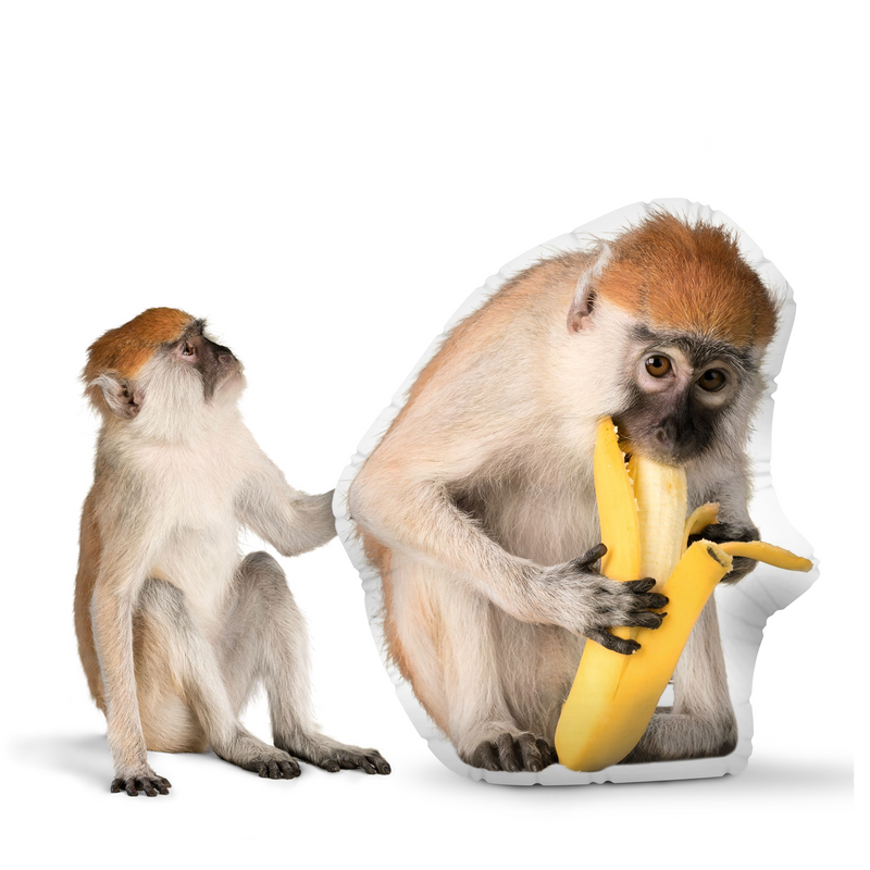 Custom Monkey Pillow