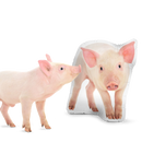 Custom Pig Pillow