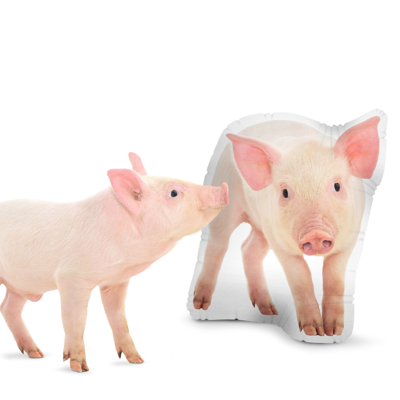 Custom Pig Pillow