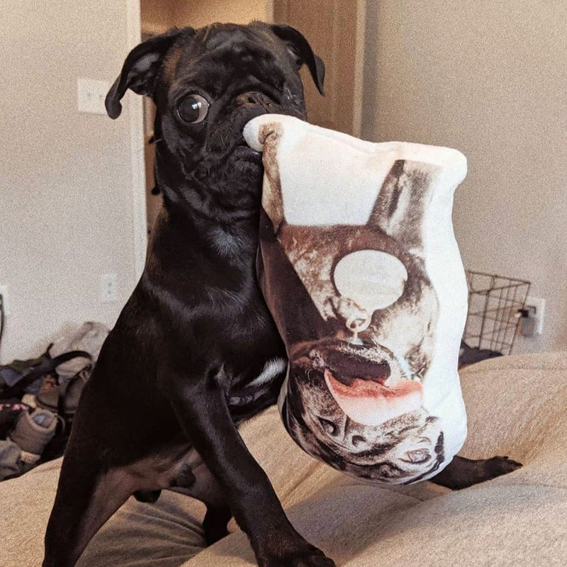 Personalized Pug Pillow