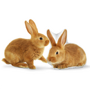 Custom Rabbit Pillow