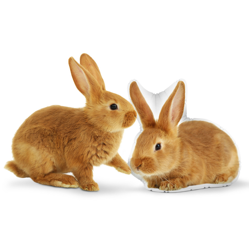 Custom Rabbit Pillow