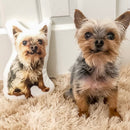 Personalized Yorkshire Terrier Pillow