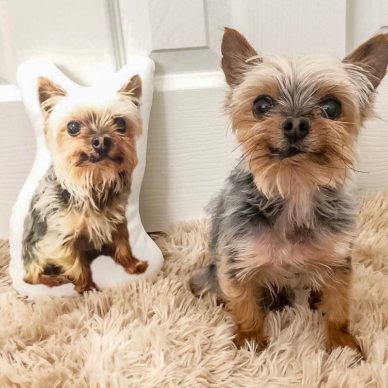 Personalized Yorkshire Terrier Pillow