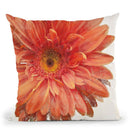 Vivid Daisy Throw Pillow By Danhui