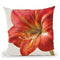 Vivid Amaryllis Throw Pillow By Danhui