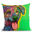 Hawkeye Throw Pillow By Dean Russo