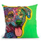 Hawkeye Throw Pillow By Dean Russo