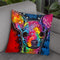 Bubble Chi Throw Pillow By Dean Russo