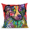 Img 0628 Throw Pillow By Dean Russo