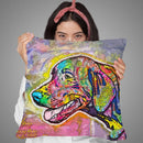 Sport Throw Pillow By Dean Russo