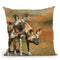 African Wild Dogs Throw Pillow By David Stribbling