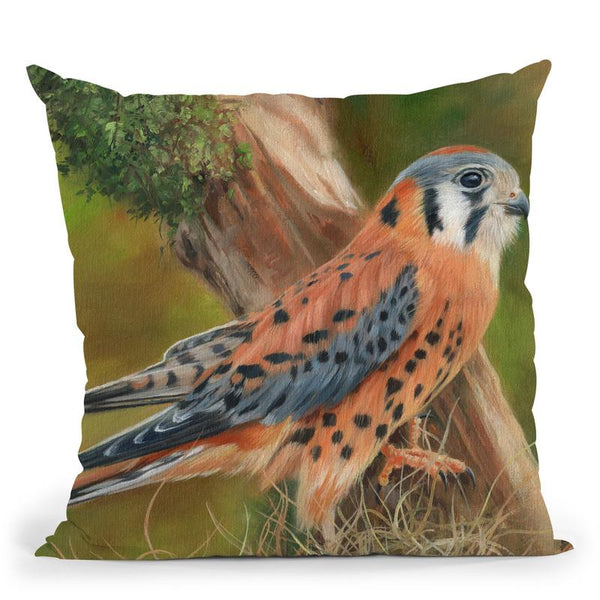 American Kestrel Throw Pillow By David Stribbling