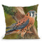 American Kestrel Throw Pillow By David Stribbling
