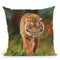 Amur Tiger Ii Throw Pillow By David Stribbling