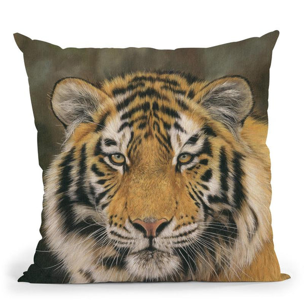 Amur Tiger Portrait Throw Pillow By David Stribbling