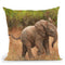 Baby African Elephant Throw Pillow By David Stribbling