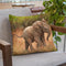 Baby African Elephant Throw Pillow By David Stribbling