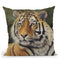 Bengal Tiger Throw Pillow By David Stribbling