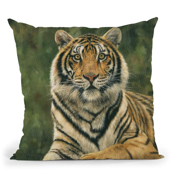 Bengal Tiger Ii Throw Pillow By David Stribbling