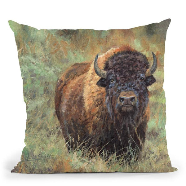Bison Throw Pillow By David Stribbling