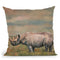 Black Rhino Throw Pillow By David Stribbling