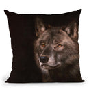 Black Wolf Throw Pillow By David Stribbling