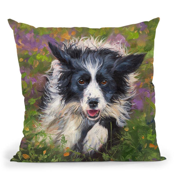 Border Collie Throw Pillow By David Stribbling