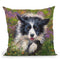 Border Collie Throw Pillow By David Stribbling
