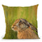 Bright Eyes Throw Pillow By David Stribbling