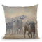 Buffalo Zambia Throw Pillow By David Stribbling