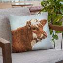 Calf Throw Pillow By David Stribbling