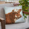 Calf Throw Pillow By David Stribbling