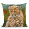 Cheetah Cub Iii Throw Pillow By David Stribbling