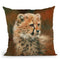 Cheetah Cub Portrait Throw Pillow By David Stribbling