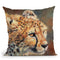 Cheetah I Throw Pillow By David Stribbling