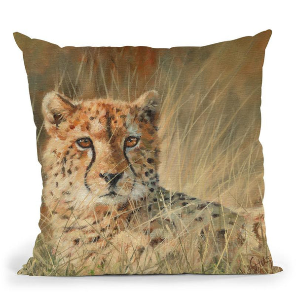Cheetah Ii Throw Pillow By David Stribbling