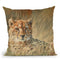 Cheetah Ii Throw Pillow By David Stribbling