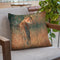 Cheetah Last Light Throw Pillow By David Stribbling