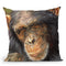 Chimp The Thinker Throw Pillow By David Stribbling