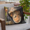 Chimp The Thinker Throw Pillow By David Stribbling
