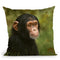 Chimp Throw Pillow By David Stribbling