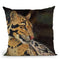 Clouded Leopard Portrait Throw Pillow By David Stribbling