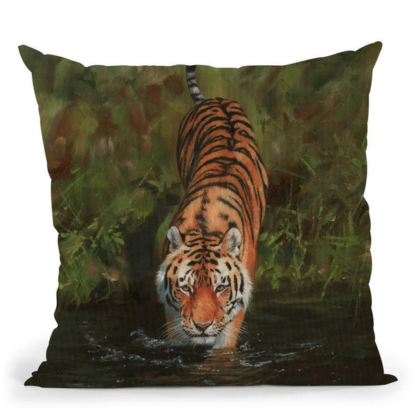 Cool Throw Pillow By David Stribbling