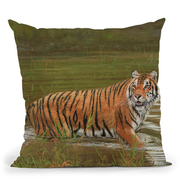 Cooling Off Throw Pillow By David Stribbling