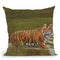 Cooling Off Throw Pillow By David Stribbling